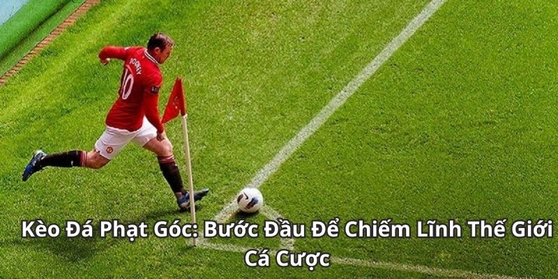 Kèo Phạt Góc Bí Mật Chiến Thắng - Phân Tích và Dự Đoán 1 Tổng hợp thông tin về kèo phạt góc